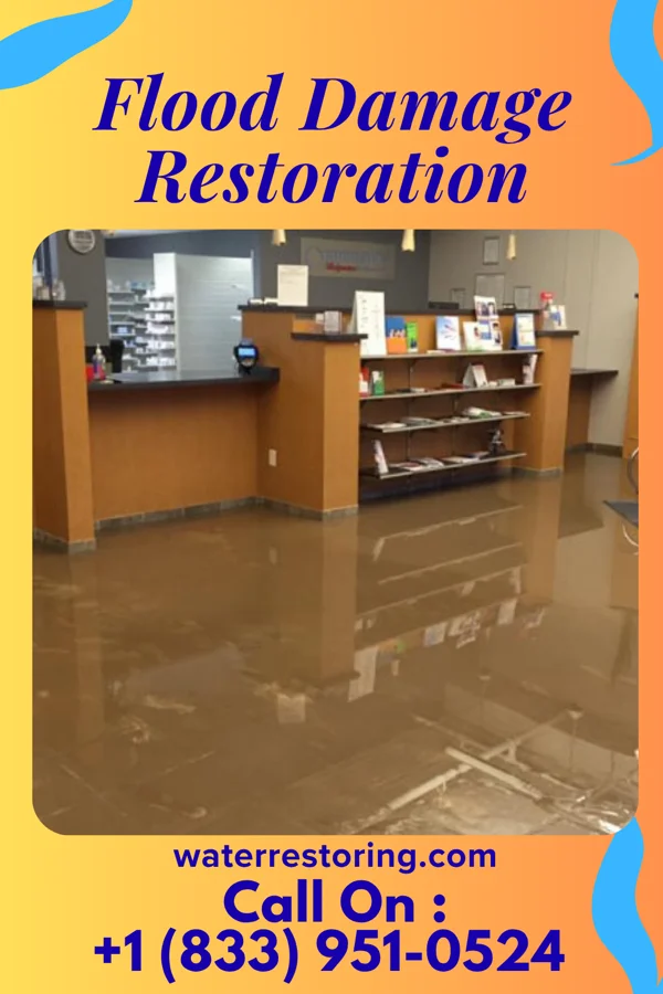 Flood Damage Restoration in Jefferson, SC