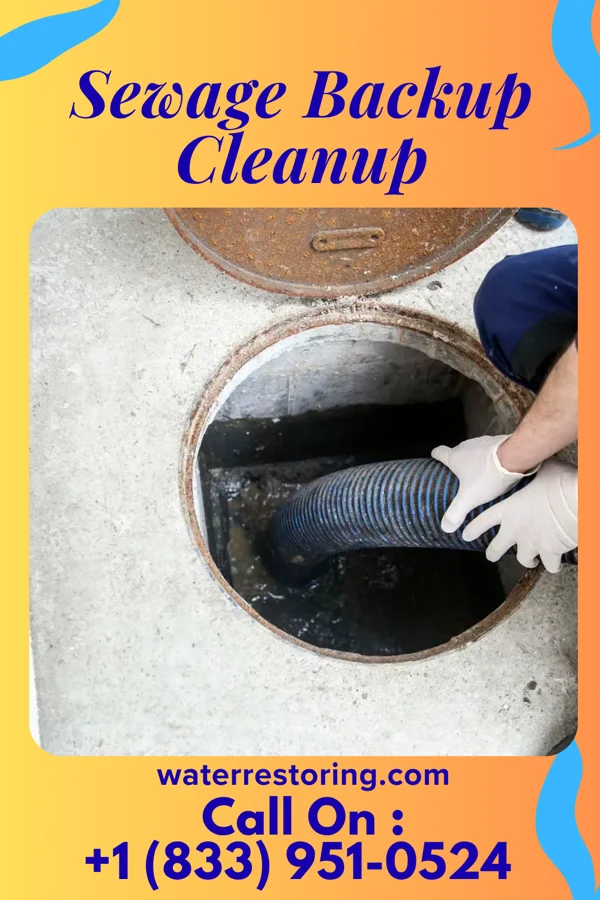 Sewage Backup Cleanup in Jefferson, SC
